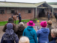 AK071124-85 - Alan King Stable Visit